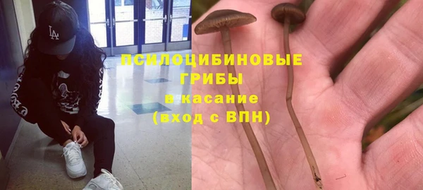 гашик Осташков