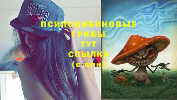 2c-b Осинники