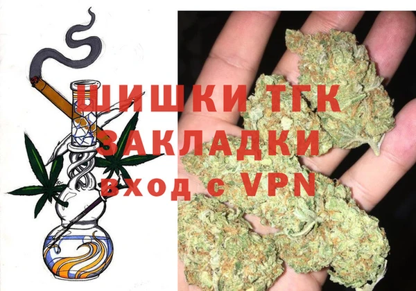 гашик Осташков