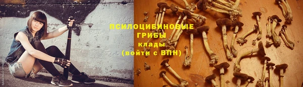 гашик Осташков
