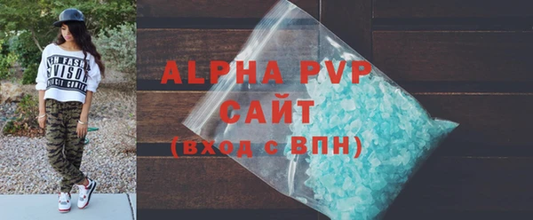гашик Осташков