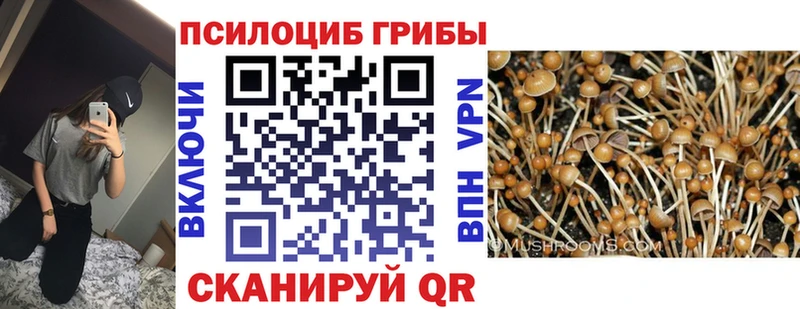 маркетплейс состав  где найти наркотики  Кисловодск  Галлюциногенные грибы прущие грибы 