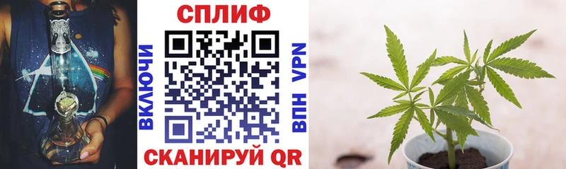 купить наркотик  Кисловодск  МАРИХУАНА план 